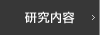 研究内容